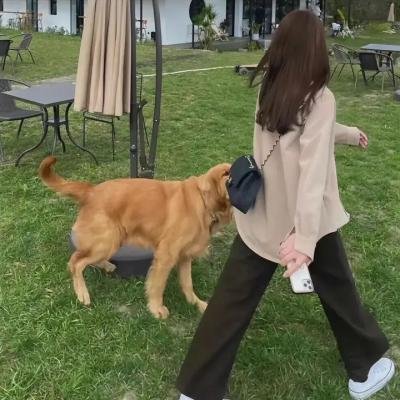 她来了 特别篇